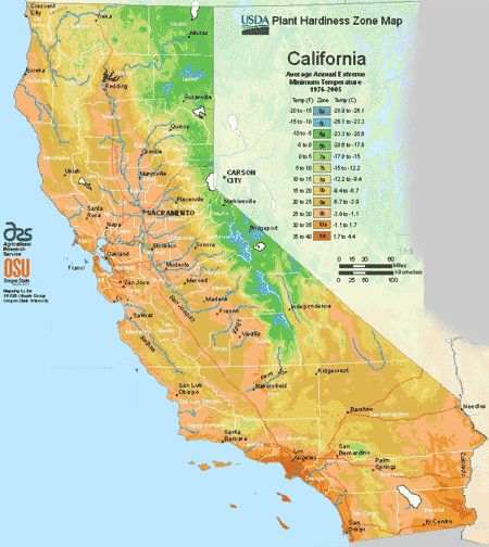 California Planting Zone Map Small Planting Zones Map, Map California, Gardening Tricks, Plant Hardiness Zone Map, Gardening Photography, Easy Gardening, Climate Zones, Gardening Zones, Plant Zones