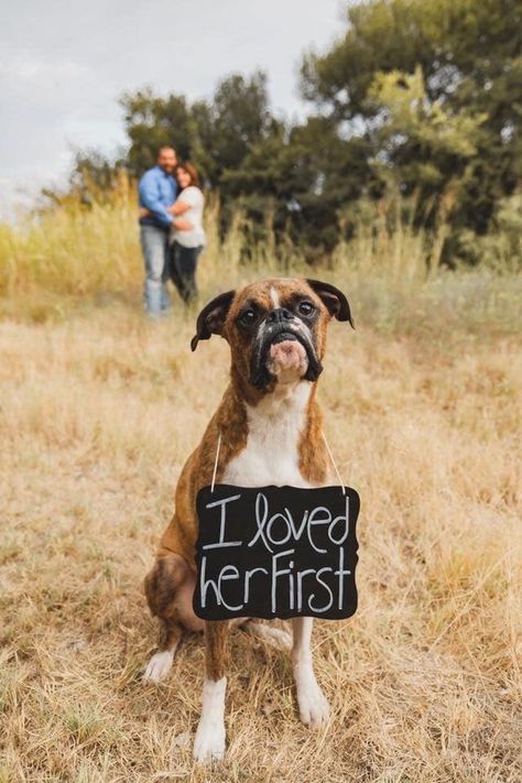 Engagement Photo Ideas Funny, Engagement Anouncment Ideas, Bible Engagement Pictures, Ways To Incorporate Dogs In Wedding, Wedding Ideas Theme, Cowboy Wedding Ideas, Little Wedding Ideas, Funny Engagement Announcement, Fun Engagement Photos Ideas