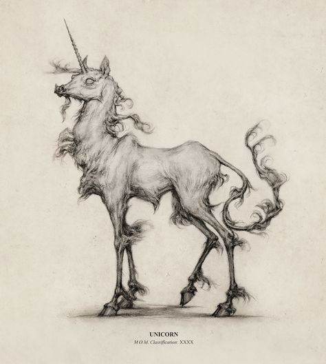 | A recent Fantastic Beast Unicorn design. :)... Drawing Fantasy Creatures, Art Sinistre, Harry Potter Illustrations, Unicorn Drawing, Illustrated Art, Unicorn Art, Creature Drawings, Dark Art Drawings, Arte Obscura