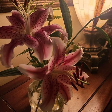 🌷🌷 Orchid Flower Aesthetic, Orchids Aesthetic, Orchid Aesthetic, Charli D'amelio Rare, I Just Love You, Flower Therapy, Charli D Amelio, Orchid Flower, Print Pictures