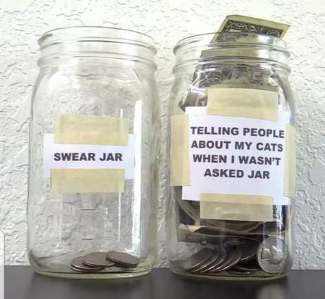 Swear Jar Ideas, Swear Jar, Hilarious Pictures, Jar Ideas, Critical Role, Social Platform, My Cat, Morning Coffee, Talk About