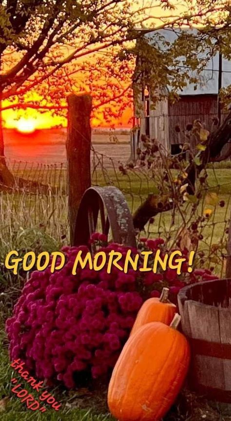 Good Morning First Day Of Fall, Autumn Good Morning Images, Good Morning Wednesday Fall, Fall Sunday Morning Quotes, Fall Good Morning Quotes, Good Morning Fall Quotes, Autumn Good Morning, Fall Good Morning, Good Morning Fall Images