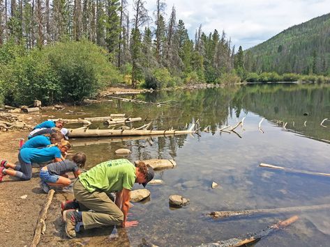 The Best Summit County Hikes to do With Your Kids : FDRD Summit Stage, Breckenridge Ski Resort, Rainbow Lake, Colorado Summer, Largest Waterfall, Summit County, Hiking Routes, Waterfall Hikes, Hiking With Kids