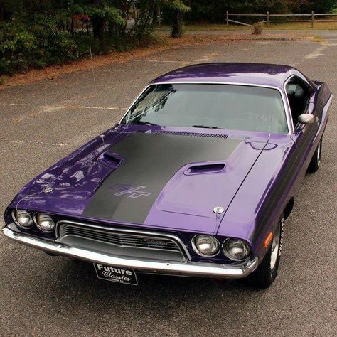 Plum Purple Dodge Challenger .   "ABSOLUTLEY BEAUTIFUL". Challenger Rt, Purple Car, Mopar Cars, Awesome Cars, Cars Vintage, Retro Car, Mopar Muscle, Mustang Cars, Pretty Cars