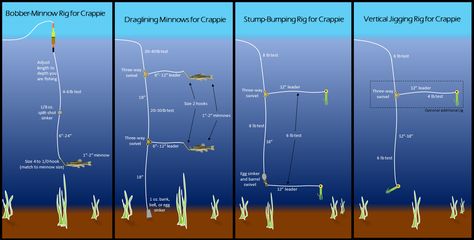 Crappie Rigs, Crappie Fishing Tips, Fishing Jig, Fishing For Beginners, Bass Fishing Tips, Fishing Pictures, Fishing Rigs, Crappie Fishing, Fishing Techniques