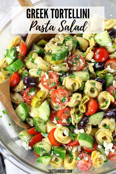 Greek Tortellini Pasta Salad, Pasta Salad With Feta Cheese, Greek Tortellini, Pasta Salad With Feta, Tortellini Pasta Salad Recipes, Greek Tortellini Salad, Light Dishes, Homemade Greek Dressing, Salad With Feta Cheese