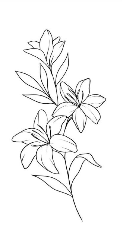 Lilie Flower Tattoo Design, Gilded Lily Tattoo, Tiger Lily Tattoo Simple, Fire Lily Drawing, Flame Lilly Tattoo, Lily Flower Line Drawing, Tiger Lily Drawing Simple, Tiger Fine Line Tattoo, Tiger Lilies Tattoo