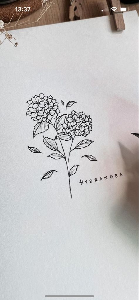 Hortensia Flower Drawing, Hortensia Flower Tattoo, Fine Line Tattoo Hydrangea, Black Hydrangea Tattoo, Hydrangea Line Tattoo, Hydrangea Spine Tattoo, Hydrangea Rib Tattoo, Dainty Hydrangea Tattoo, Hydrangea Bouquet Drawing