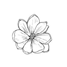 magnolia refrence drawing - Brave Search Hibiscus Flower Outline, Flower Outline Tattoo, Wildflowers Tattoo, Lotus Flower Drawing, Simple Flower Tattoo, Simple Flower Drawing, Magnolia Tattoo, Flower Tattoo Drawings, Omerta Tattoo