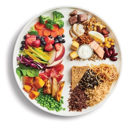 Click to view full size image Canada Food Guide, Healthy Eating Plate, Whole Grain Foods, Canada Food, Healthy Plate, Canadian Food, Grain Foods, Keto Snacks, Protein Foods