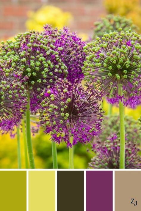 Trendy Colour Palette, Palettes Color, Combination Color, Colours That Go Together, Colors Combinations, Color Coordination, Painting Colors, Mixing Colors, Paint Inspiration