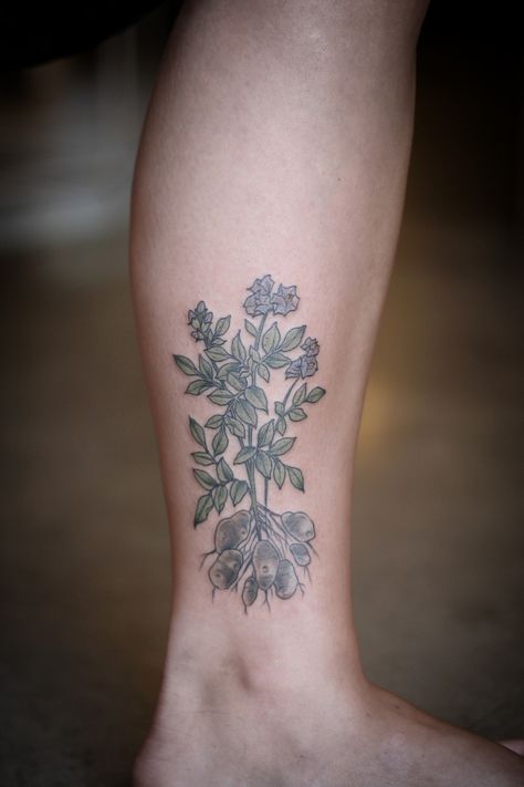 The tiniest potato plant for Fiona! Based on a story by Louis Sachar about a tattoo of a potato on an ankle. This was so fun! Inhaler Tattoo, Potato Tattoo, Potato Plant, State Tattoos, Louis Sachar, Simple Tattoos For Women, Pumpkin Tattoo, M Tattoos, Skin Paint