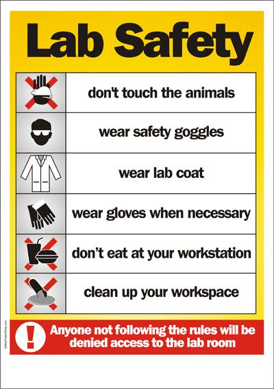 Lab Safety | Lab Safety Poster Lab Safety Rules Poster, Science Safety Posters, Enclothed Cognition, Science Lab Safety Rules, Nota Sains, Science Safety Rules, Lab Safety Poster, Urine Analysis, Lab Rules