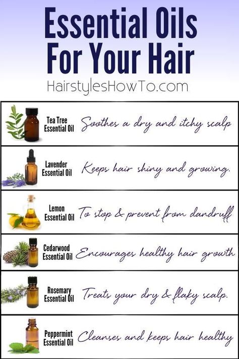 Essential Oils for Your Hair Oils For Your Hair, Hair Chart, Oils For Hair, Oil Remedies, Cedarwood Essential Oil, Essential Oils For Hair, Young Living Oils, Tea Tree Essential Oil, Oil Uses