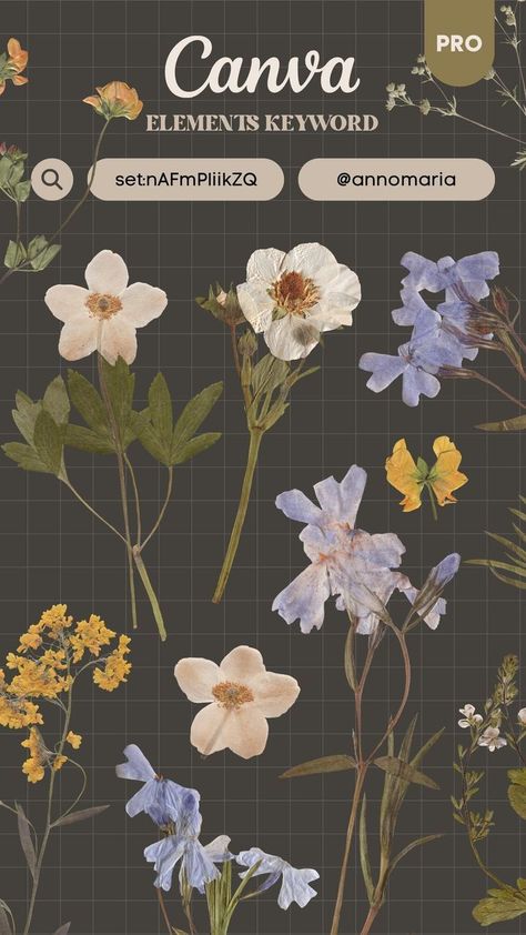 Canva Elements keyword - Pressed dried Flowers canvacodes #canvatemplate #natureelement #canvakeywordelement. Dried Flowers Aesthetic, Canva Keywords Elements, Canva Keywords, Canva Frames, Postage Stamp Design, Graphic Shapes Design, Online Scrapbook, Keyword Elements Canva, Presentation Design Layout