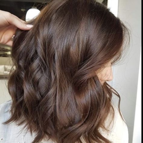 Medium Brown Hair With Light Brown, Chocolate Mocha Hair Color Balayage, Hair Color Mocha Brown, Light Brown Hair Single Color, Brown Hair Colors Chestnut, Medium Chestnut Brown Hair Color, Solid Brown Hair Color Light, Level 3 Brown Hair, Rich Medium Brown Hair