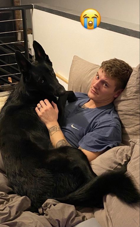 Man With German Shepherd, Black German Shepherd Puppies, Baby German Shepherds, Dog Tumblr, Black German Shepherd, Animal Projects, Doberman Pinscher, German Shepherd Puppies, Black Dog