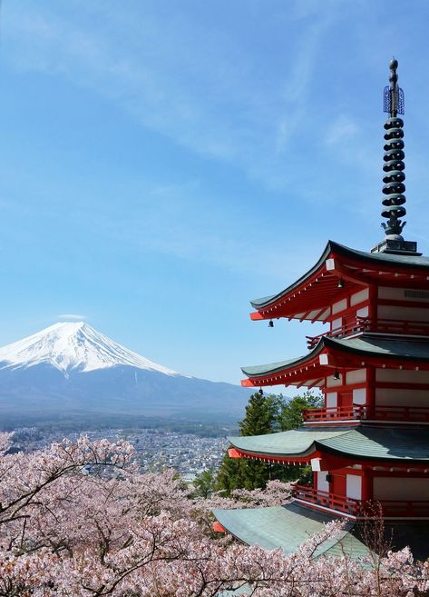 Chureito Pagoda, Things To Do In Japan, Japan Travel Destinations, Beautiful Places In Japan, Train Trip, Monte Fuji, Tokyo Japan Travel, Japan Travel Tips, Japan Photography