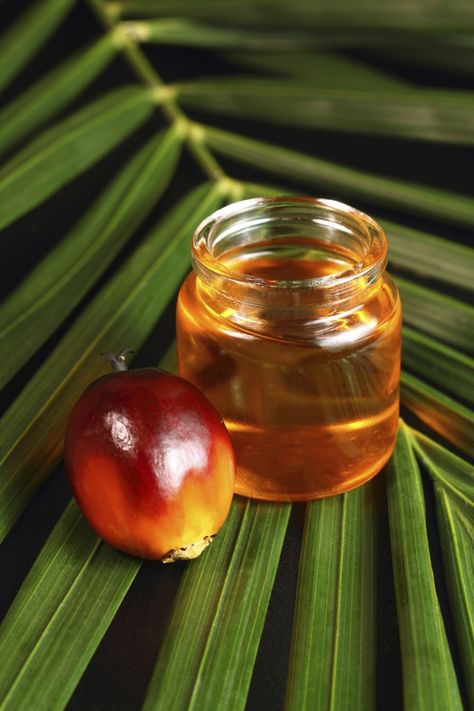 Pack a Nutritional Knockout with Red Palm Oil Benefits Of Olive Oil, Palm Fruit Oil, Red Palm Oil, Diet Results, Red Palm, Potager Garden, Oil Benefits, Dr Oz, Alternative Health