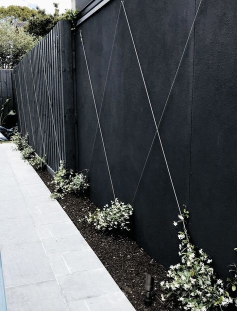 Jasmine Climber, Small Garden Design Ideas, Design Backyard, Black Fence, Desain Lanskap, Plants Growing, Garden Design Ideas, Have Inspiration, Small Garden Design