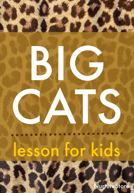 Big cats lesson plan for children - NurtureStore Iberian Lynx, Sand Cat, Steam Activities, Types Of Cats, Thematic Units, Creative Learning, Cat Facts, Fun Crafts For Kids, Big Cat