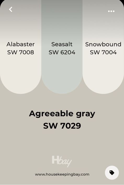 Agreeable Gray Vs Alabaster, Alabaster And Agreeable Gray, Agreeable Grey, Sherwin Williams Paint Neutral, Guest Bedroom Colors, Color Consultation, Farmhouse Renovation, Agreeable Gray, House Vibes