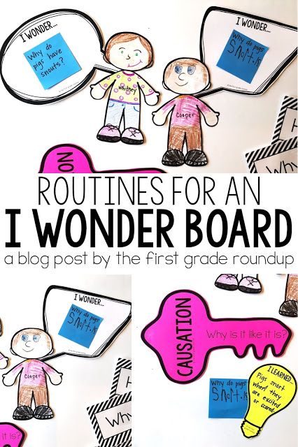 Who We Are Kindergarten Pyp, Ib Bulletin Board Ideas, Pyp Bulletin Board Ideas, Pyp Classroom Setup, Wonder Wall Classroom, First Grade Bulletin Board Ideas, Ib Bulletin Boards, Science Classroom Door, Ib Pyp Classroom