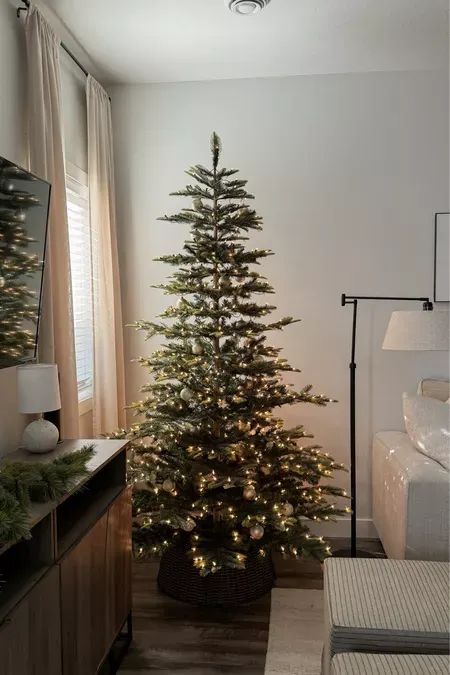 Click the pin to shop this Amazon Christmas tree! Aspen fir christmas tree Pencil Christmas Tree Bedroom, Christmas Trees Small Spaces, Small Real Christmas Tree, Aspen Christmas Decor, Christmas Tree In Small Apartment, Aspen Fir Christmas Tree, Puleo International Christmas Tree, Cypress Christmas Tree Decorated, Corner Christmas Tree Ideas