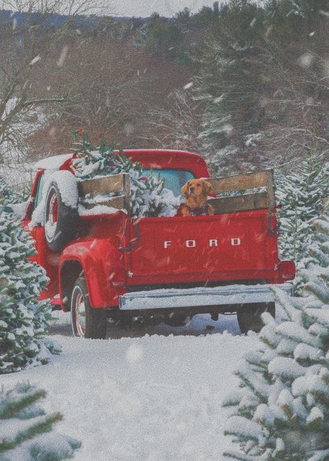 Sezane Dress, Family Christmas Tree, Sweater Ralph Lauren, Kiel James Patrick, Burberry Sweater, Ralph Lauren Vintage, James Patrick, Winter Wonderland Christmas, Vintage Flannel