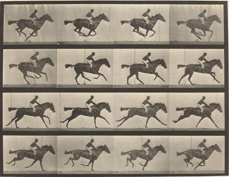 Eadweard Muybridge, Animal Movement, Horse Galloping, Royal Academy Of Arts, Running Horses, Film History, National Gallery Of Art, Animal Books, Moving Image