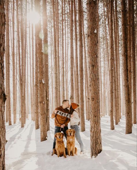 Snowy Baby Announcement, Winter Maternity Photoshoot With Dog, Gender Reveal In The Snow, Outdoor Winter Pregnancy Announcement, Winter Pregnancy Photoshoot Announcement, Winter Gender Reveal Photoshoot, Winter Announcement Pregnancy, Winter Maternity Pictures With Dog, Snowy Pregnancy Announcement