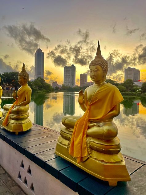 #sunset #sunsetphotography #sunsetbeach #sunsetlover #colombo #srilanka #srilankatravel #buddha #buddhism #travel #meditation Srilanka Aesthetic, Srilanka Tourism, Buddha Aesthetic, Colombo Sri Lanka, Sri Lanka Travel, Buddha Quotes, Fake Pictures, Buddhist Temple, Dream Board