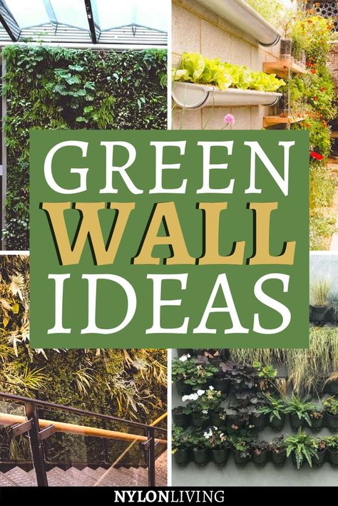 Green Walls Outdoor Patio, Living Green Wall Outdoor, Living Garden Walls Outdoor, Green Wall Plants Outdoor, Green Wall Outdoor Design, Hanging Wall Garden Outdoor, How To Build A Plant Wall, Living Wall Kitchen, Green Plant Wall Indoor