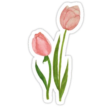 Tulips Watercolor, Watercolor Tulip, Tulip Art, Stickers Cool, Arte Peculiar, Tulips Art, Watercolor Tulips, Bubble Stickers, Watercolor Stickers