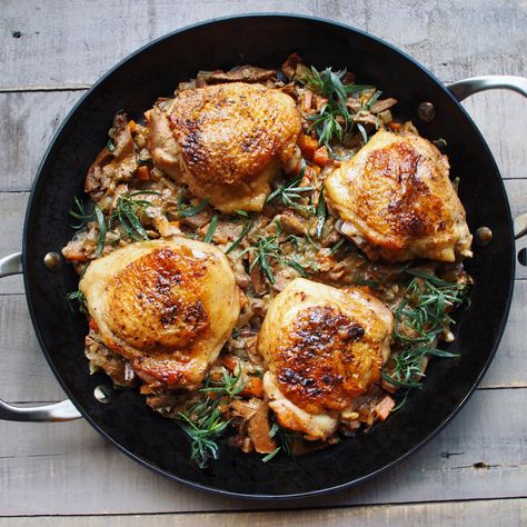 Pan-Seared Chicken Thighs with Chanterelle Mushrooms — Diet Assassinista Chantrell Mushrooms Recipes, Chanterelle Mushroom Recipes, Chanterelle Recipes, Pan Seared Chicken Thighs, Wild Mushroom Recipes, Chanterelle Mushrooms, Seared Chicken, Pan Seared Chicken, Fall Cooking