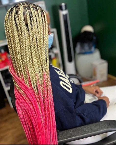 Braided Hairstyles Two Colors, Color Block Braids, Braids Color Combination Ideas, Two Colour Braids, Color Combos For Braids, Colors Box Braids, 2 Color Box Braids, Multicolor Braids, Braids Color Combination