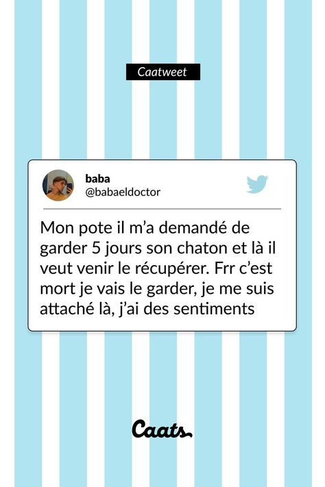 Meme chat, tweet chat, chat drôle, chat faim, cat, funny cat, chat, chaton, Conseils, adopter un chat, chat bêtise, comportement du chat, comprendre son chat, conseils, chat article, erreurs à ne pas faire, avoir un chat, alimentation du chat, croquettes chat, pâtée pour chat, conseils, chat article, erreurs à ne pas faire, avoir un chat, femme et chat, cat mom, vidéo drôle, la vie de nos chats, être un chat, imitation de nos chats, santé chat Meme Chat, Cat Funny, Les Sentiments, Croquettes, Funny Cat, Cat Mom, Memes, Funny