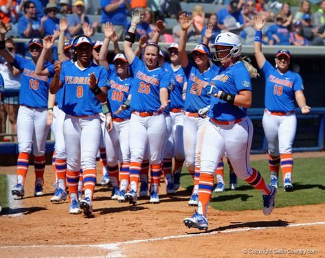 Florida Softball, Gators Softball, Florida Gators Softball, Florida Gators Baseball, College Softball, Florida Gator, Softball Pictures, Softball Life, Illinois State