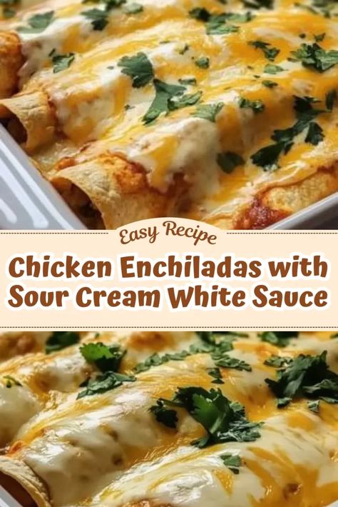 Chicken Enchiladas With White Sauce Cream Cheese, Chicken Enchiladas Sour Cream Sauce, Recipes With Chicken And Sour Cream, Mexican Food Recipes Enchiladas White Chicken Sour Cream Sauce Easy, Chicken Enchiladas With Sour Cream White Sauce, Sour Cream Chicken Enchilada Recipe Easy, Sour Cream Dinner Recipes, Shredded Chicken Cream Cheese Recipes, Sour Cream Sauce For Enchiladas