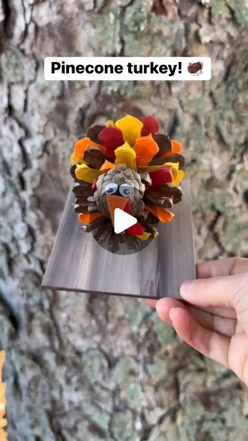 Emily Seilhamer on Instagram: "Pinecone Turkey! 🎨🦃 #crafting #diyideas #fallcrafts #easycrafts #tutorials" Holiday Woodworking Projects, Pinecone Turkey, Thanksgiving Food Crafts, Preschool Craft Activities, Pinecone Crafts Kids, Babysitting Crafts, Fall Wood Crafts, Painted Pinecones, Holiday Decor Thanksgiving