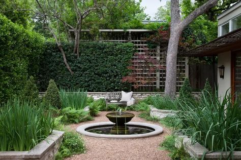 Heat-Tolerant Austin Garden Austin Garden, Plants For Raised Beds, Courtyard Landscaping, No Grass Backyard, Growing Grass, Pea Gravel, Beautiful Outdoor Spaces, Shade Trees, Backyard Fences