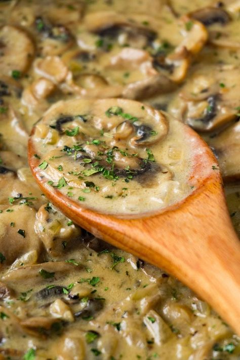 White wine mushroom sauce with cream - Here To Cook Wine Pasta Sauce, White Wine Pasta Sauce, White Wine Sauce Recipes, Mushroom Wine Sauce, Recipe Mushroom, Mushroom Sauce Recipe, Mushroom Cream Sauces, Creamy Mushroom Sauce, White Wine Sauce