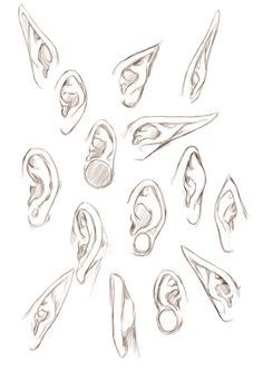 How To Draw Ears, Ear Art, 캐릭터 드로잉, Anatomy Drawing, Body Drawing, Anatomy Art, Art Tutorials Drawing, Drawing Reference Poses, Drawing Tips