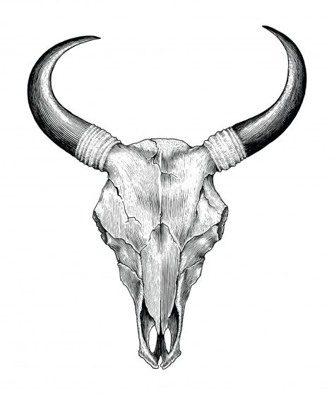 Skull Drawing Easy, Cow Skull Drawing, Tattoo Crane, Cow Skull Tattoos, Bull Skull Tattoos, Skull Drawings, Bison Skull, Skull Sketch, Drawing Vintage