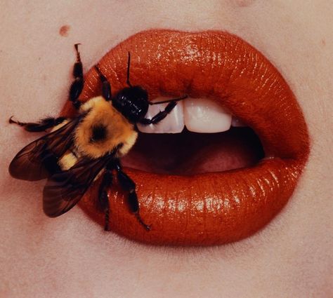 RARE PICS on Instagram: “‘Bee On Lips’ by Irving Penn for Vogue 🐝💋” Irving Penn, Reference Photos For Artists, Beyond Beauty, 문신 디자인, Lip Art, Pics Art, Photo Reference, Art Reference Photos, 그림 그리기