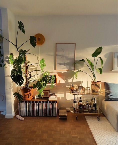 Lots Of Plants, Apartment Decor Inspiration, Apartment Inspiration, Living Room Inspo, A Living Room, Dream House Decor, Aesthetic Room Decor, Dream Home Design, 인테리어 디자인