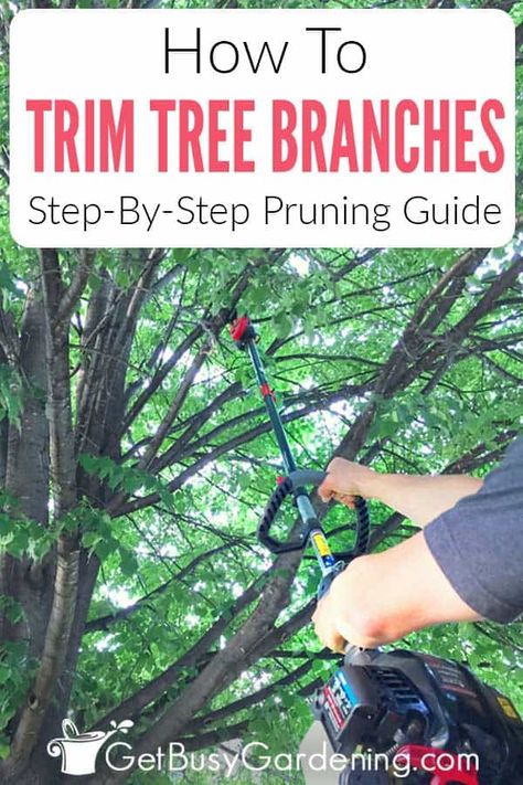 Do your trees have dead or damaged branches? Are the limbs bending off in unwanted directions? Learn how to properly the branches yourself without damaging the tree, or leaving it at risk for disease. Find out when the best time is to cut those problematic branches off the tree so that it grows bushy, and healthy in the direction that you want. Pick up plenty of tips for good tree trimming practices, the right tools, and how to tackle the larger projects without calling in an expensive service. Pruning Roses, Tree Pruning, Tree Trimming, Tree Care, Landscaping Tips, Garden Care, Flowers Garden, Gardening For Beginners, Tips And Advice