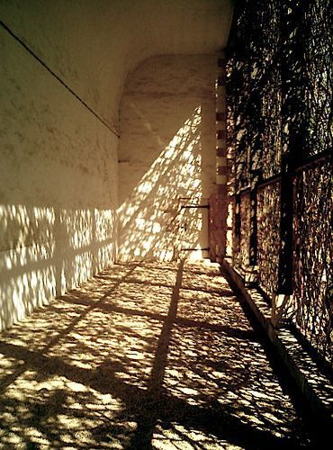 Light And Shade Architecture, Dappled Light Architecture, Light Element Aesthetic, Light Through Cracks, Mood Lighting Aesthetic, Dapple Light, Dappled Light Photography, Natural Light Aesthetic, Sunlight Interior