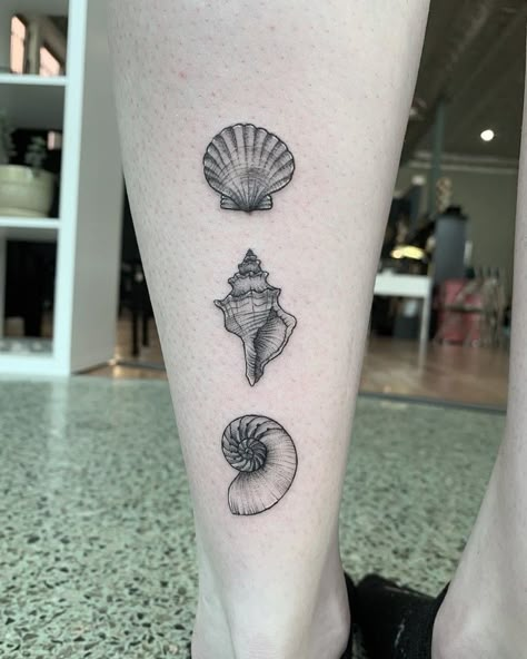 3 Shells Tattoo, Realistic Seashell Tattoo, Seashells Tattoo Ideas, Cockle Shell Tattoo, Nautalis Shell Tattoo, Simple Shell Tattoo, Scallop Tattoo, Sea Shell Tattoos, Sea Shell Tattoo Small