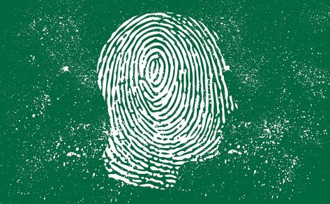 How to Prevent Identity Theft — And Protect Yourself in the Future | KCM Fix Your Credit, Line Of Credit, Online Safety, Tax Refund, Identity Theft, How To Protect Yourself, Money Matters, Screwed Up, Executive Director